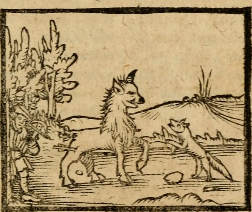 An illustration from Æsopi Phrygis Fabulae graece et latine, cum aliis quibusdam opusculis : quorum indicem sequens pagella indicabit, 1616, leaf 230
