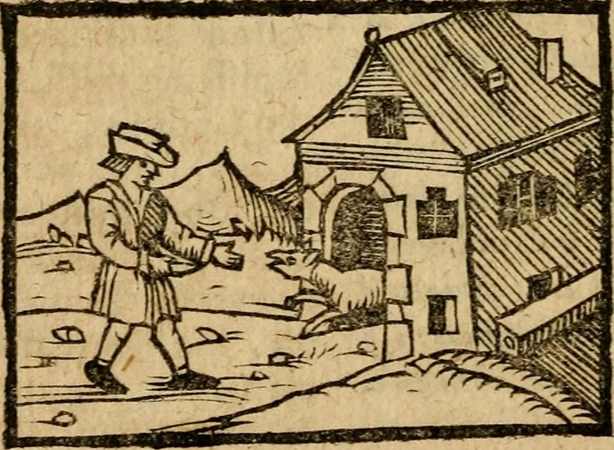 An illustration from Æsopi Phrygis Fabulae graece et latine, cum aliis quibusdam opusculis : quorum indicem sequens pagella indicabit, 1616, leaf 233