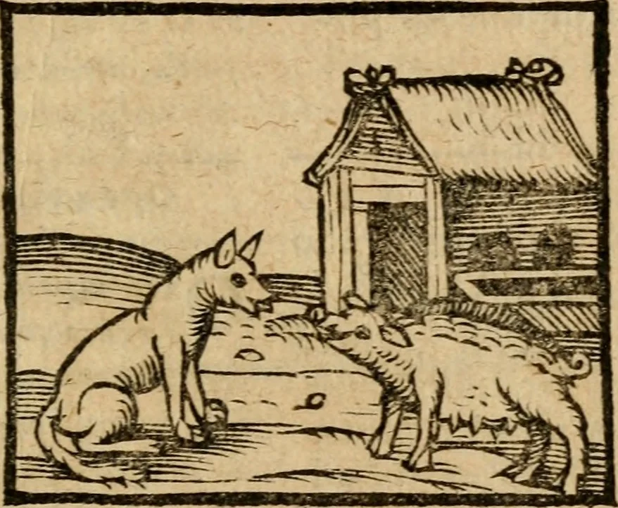 An illustration from Æsopi Phrygis Fabulae graece et latine, cum aliis quibusdam opusculis : quorum indicem sequens pagella indicabit, 1616, leaf 236