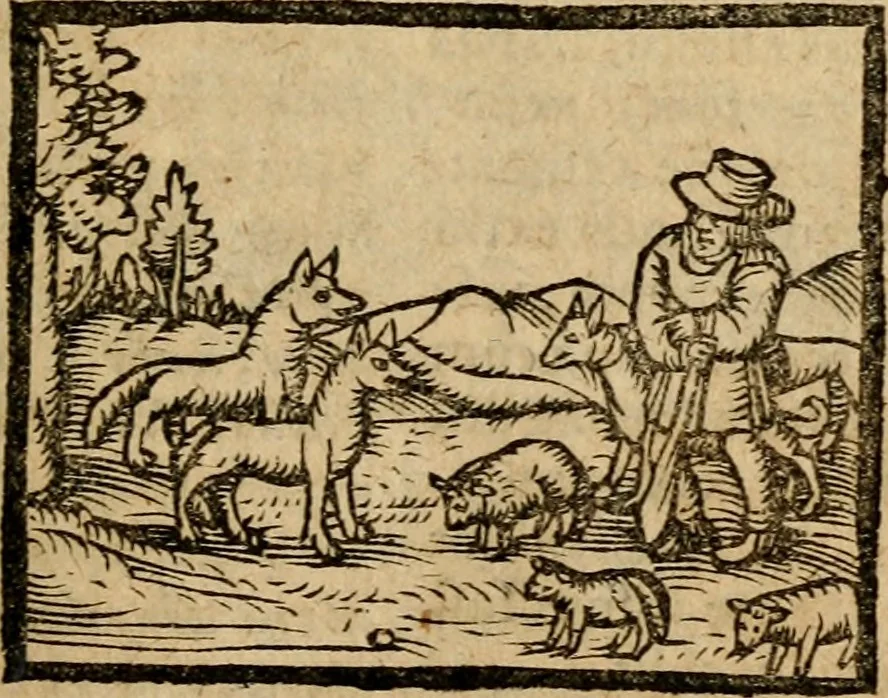An illustration from Æsopi Phrygis Fabulae graece et latine, cum aliis quibusdam opusculis : quorum indicem sequens pagella indicabit, 1616, leaf 238