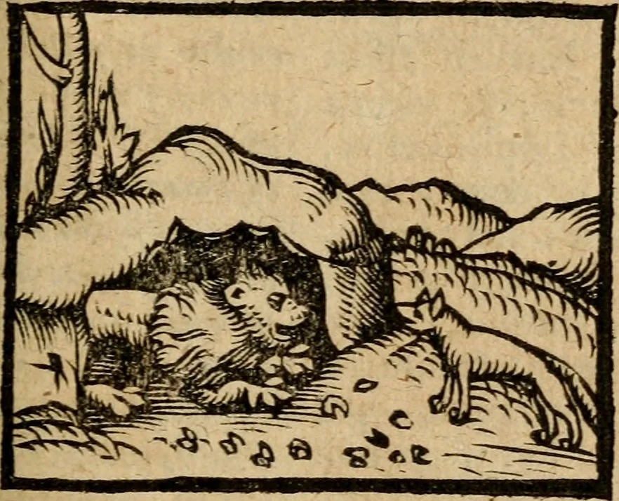 An illustration from Æsopi Phrygis Fabulae graece et latine, cum aliis quibusdam opusculis : quorum indicem sequens pagella indicabit, 1616, leaf 240