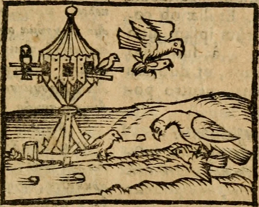 An illustration from Æsopi Phrygis Fabulae graece et latine, cum aliis quibusdam opusculis : quorum indicem sequens pagella indicabit, 1616, leaf 274