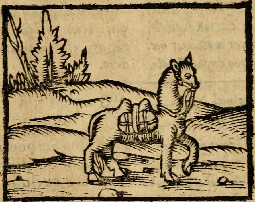 An illustration from Æsopi Phrygis Fabulae graece et latine, cum aliis quibusdam opusculis : quorum indicem sequens pagella indicabit, 1616, leaf 293