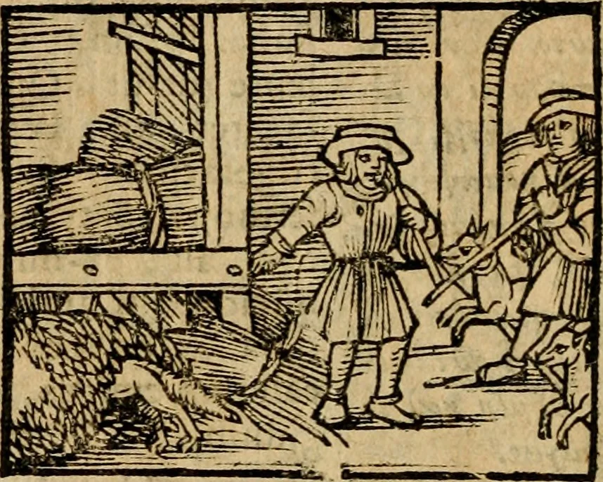 An illustration from Æsopi Phrygis Fabulae graece et latine, cum aliis quibusdam opusculis : quorum indicem sequens pagella indicabit, 1616, leaf 305