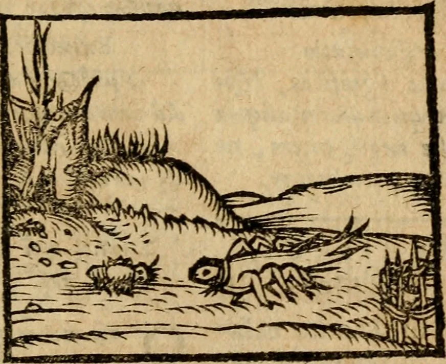 An illustration from Æsopi Phrygis Fabulae graece et latine, cum aliis quibusdam opusculis : quorum indicem sequens pagella indicabit, 1616, leaf 314