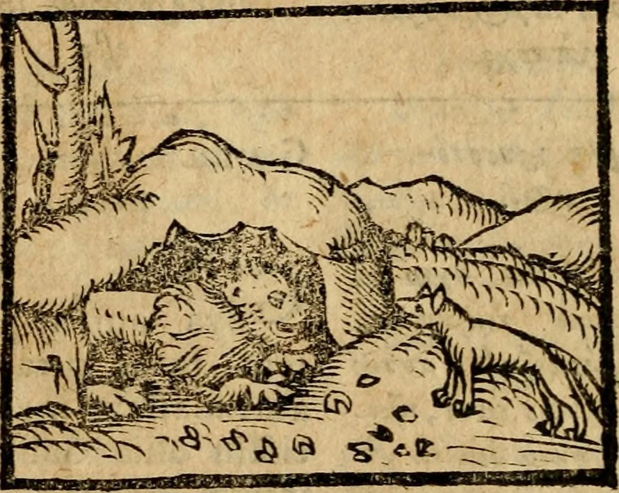 An illustration from Æsopi Phrygis Fabulae graece et latine, cum aliis quibusdam opusculis : quorum indicem sequens pagella indicabit, 1616, leaf 317