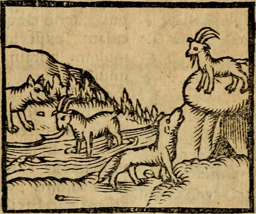 An illustration from Æsopi Phrygis Fabulae graece et latine, cum aliis quibusdam opusculis : quorum indicem sequens pagella indicabit, 1616, leaf 321