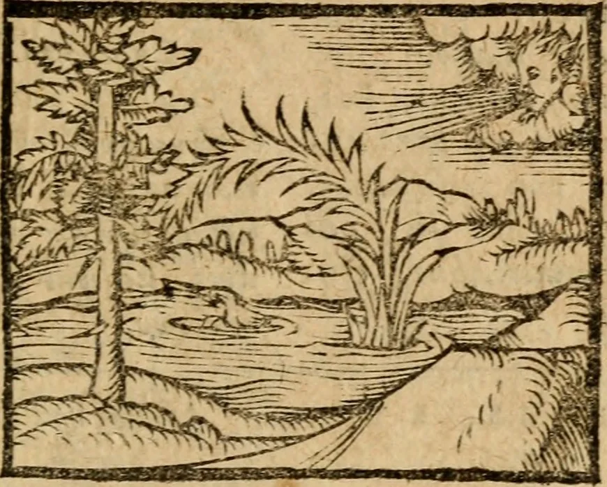 An illustration from Æsopi Phrygis Fabulae graece et latine, cum aliis quibusdam opusculis : quorum indicem sequens pagella indicabit, 1616, leaf 326