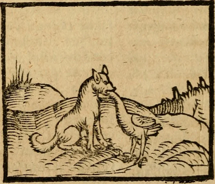 An illustration from Æsopi Phrygis Fabulae graece et latine, cum aliis quibusdam opusculis : quorum indicem sequens pagella indicabit, 1616, leaf 327