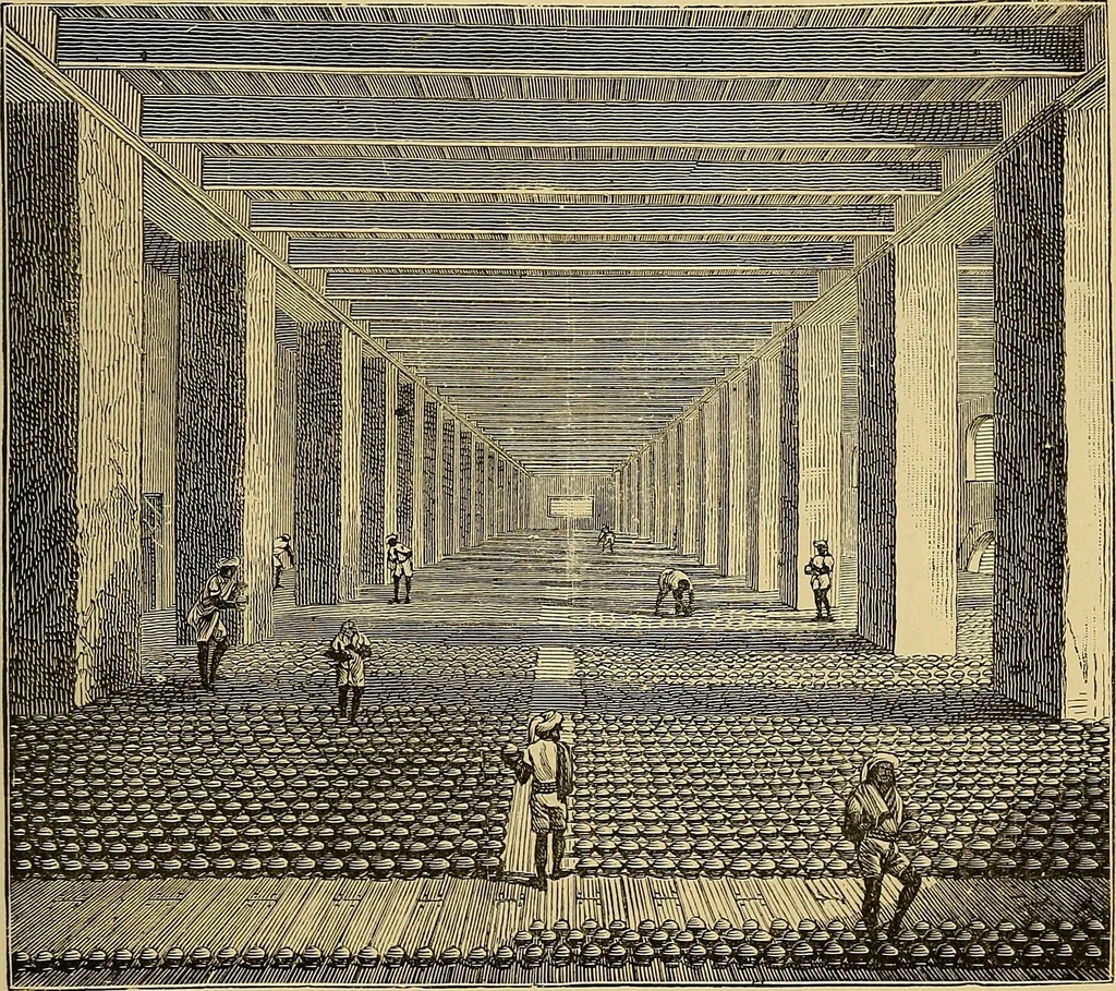 An illustration from Sorcellerie, magnétisme, morphinisme, délire des grandeurs, 1887, leaf 314