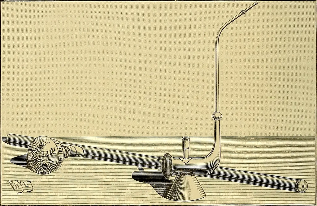 An illustration from Sorcellerie, magnétisme, morphinisme, délire des grandeurs, 1887, leaf 317