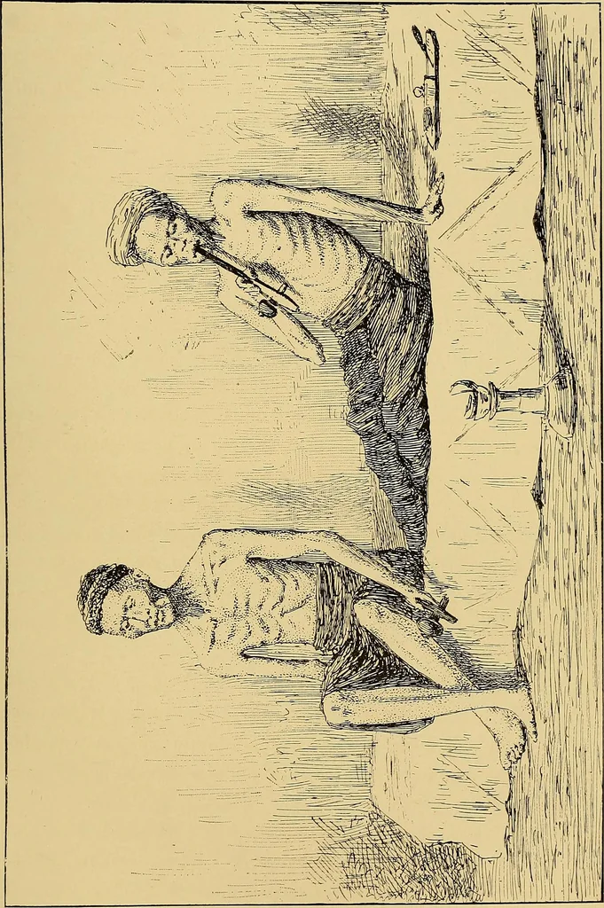 An illustration from Sorcellerie, magnétisme, morphinisme, délire des grandeurs, 1887, leaf 320