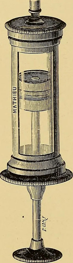 An illustration from Sorcellerie, magnétisme, morphinisme, délire des grandeurs, 1887, leaf 336