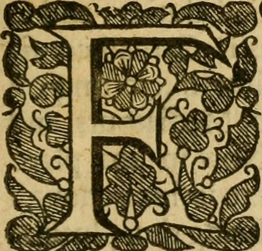An illustration from The soules exaltation .., 1638, leaf 326