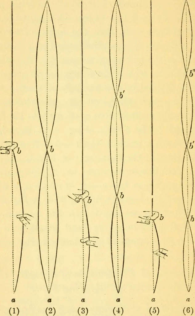 An illustration from Sound, 1895, leaf 117