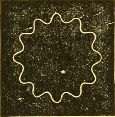 An illustration from Sound, 1895, leaf 152