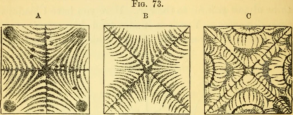 An illustration from Sound, 1895, leaf 171