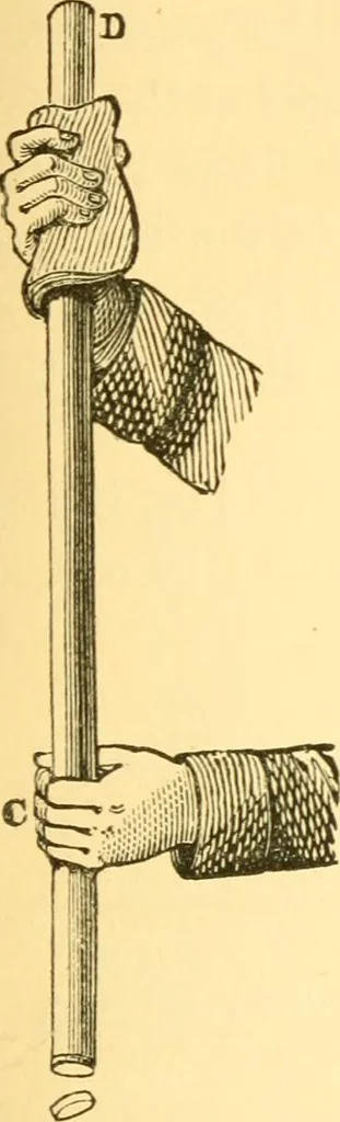An illustration from Sound, 1895, leaf 188