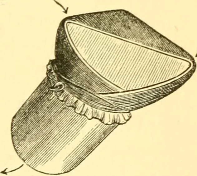 An illustration from Sound, 1895, leaf 218