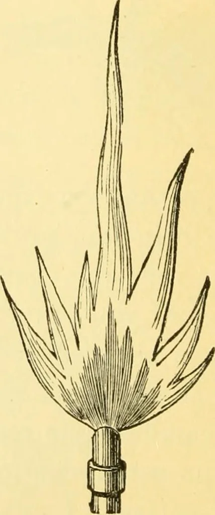 An illustration from Sound, 1895, leaf 275