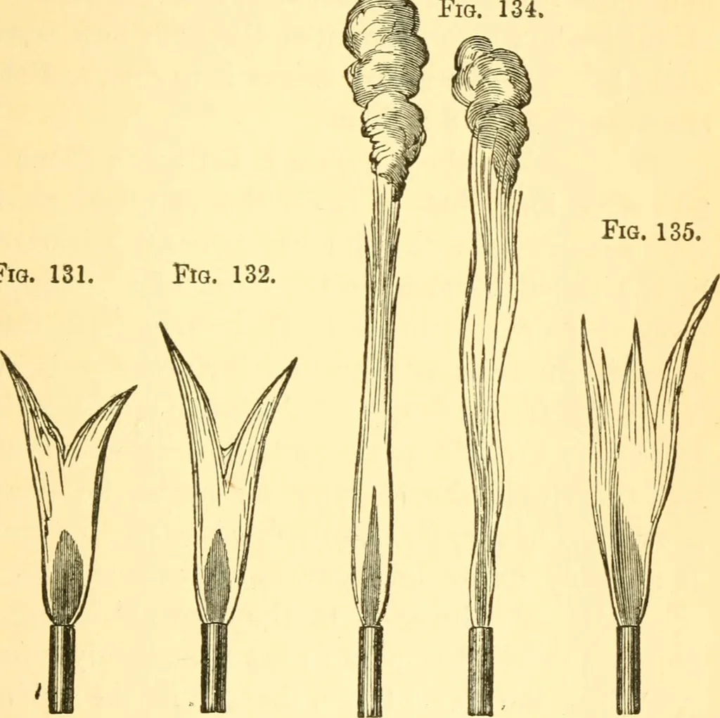An illustration from Sound, 1895, leaf 278
