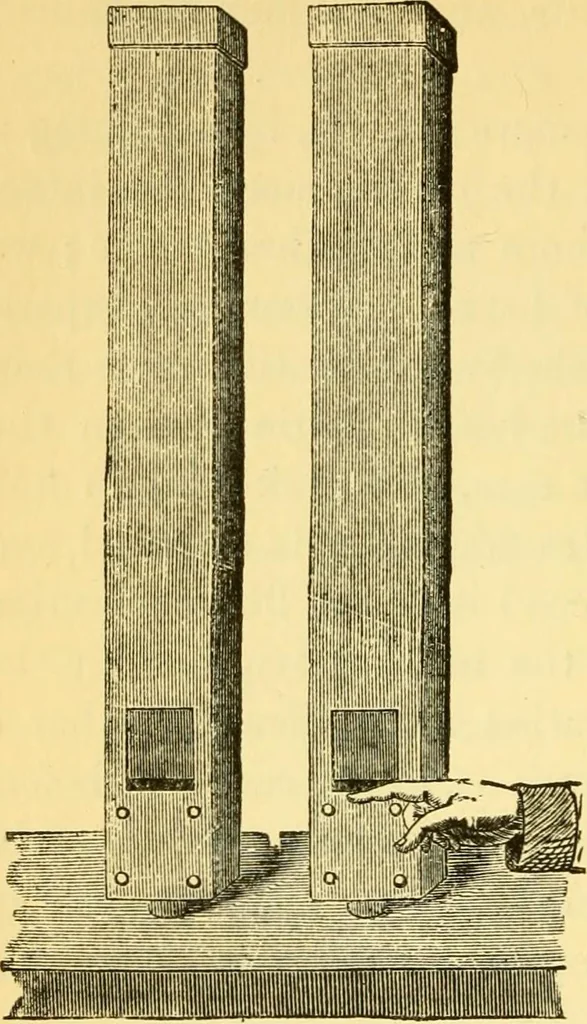 An illustration from Sound, 1895, leaf 391