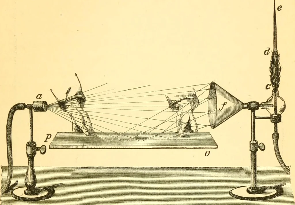 An illustration from Sound, 1895, leaf 404
