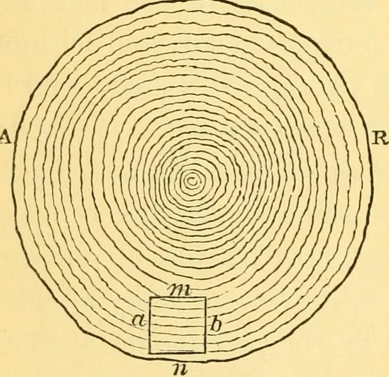 An illustration from Sound, 1895, leaf 61