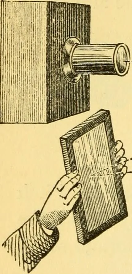 An illustration from Sound, 1895, leaf 79
