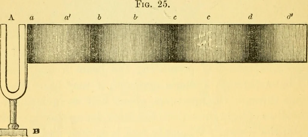 An illustration from Sound, 1895, leaf 81