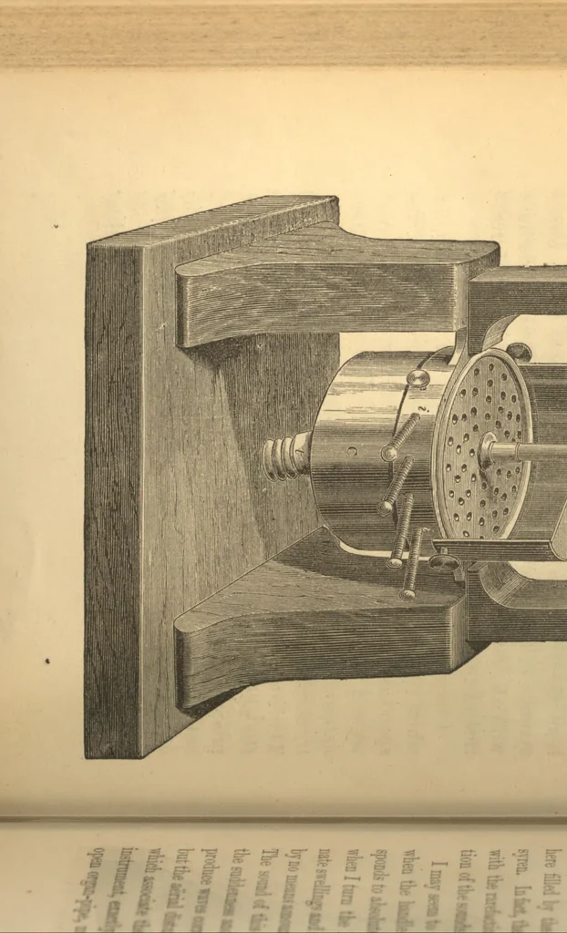 An illustration from Sound [electronic resource], 1867, leaf 305