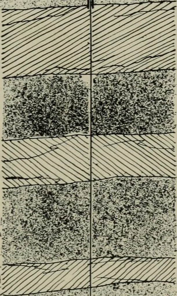 An illustration from Sound sense in suburban architecture, containing hints, suggestions, and bits of practical information for the building of inexpensive country houses, 1893, leaf 34
