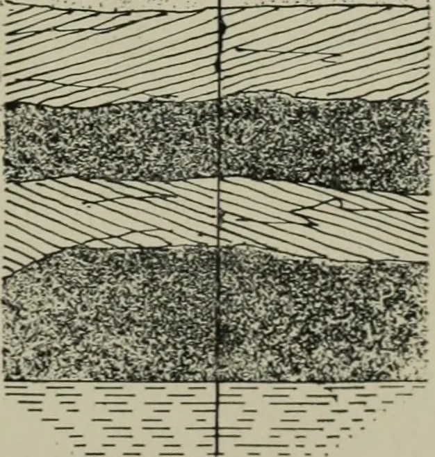 An illustration from Sound sense in suburban architecture, containing hints, suggestions, and bits of practical information for the building of inexpensive country houses, 1893, leaf 34