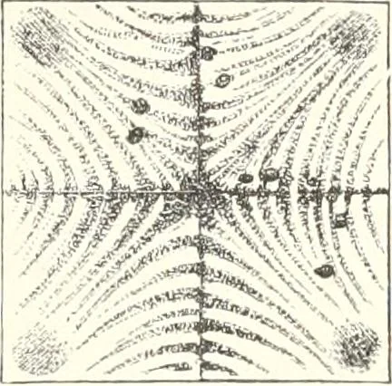 An illustration from Sound, 1897, leaf 187