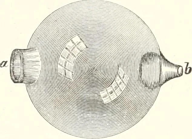 An illustration from Sound, 1897, leaf 215
