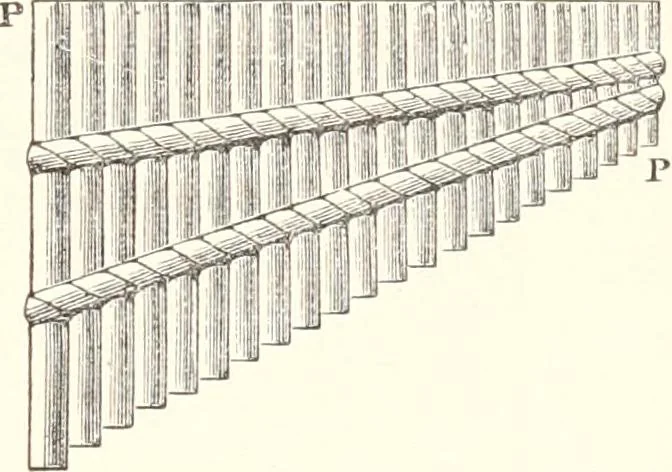 An illustration from Sound, 1897, leaf 220