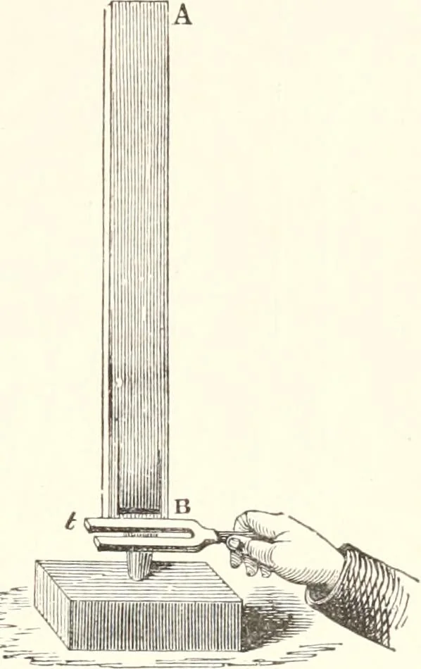 An illustration from Sound, 1897, leaf 222