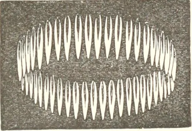 An illustration from Sound, 1897, leaf 258