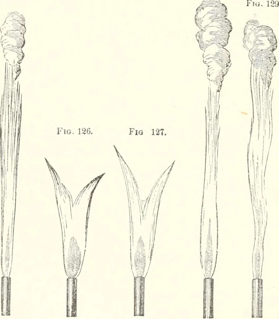An illustration from Sound, 1897, leaf 271
