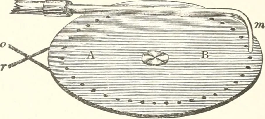 An illustration from Sound, 1897, leaf 91