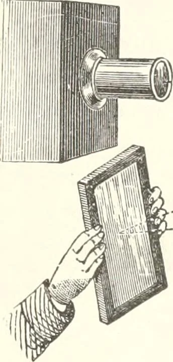An illustration from Sound, 1897, leaf 95