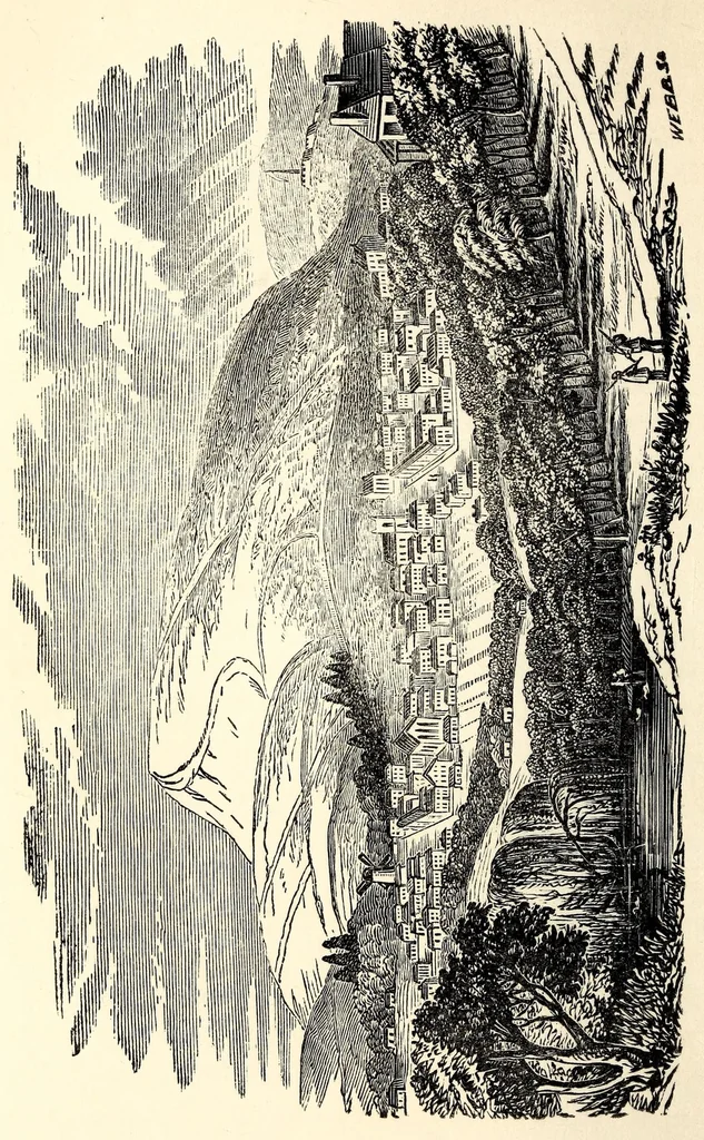 An illustration from Southern Africa. A geography and natural history of the country, colonies, and inhabitants from the Cape of Good Hope to Angola, together with notices of their origins, manners, habits, customs, traditions, superstitions, religious usages, languages, past and present conditions, manufactures, wepons, etc. .., 1856, leaf 124