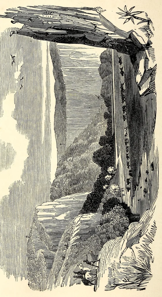 An illustration from Southern Africa. A geography and natural history of the country, colonies, and inhabitants from the Cape of Good Hope to Angola, together with notices of their origins, manners, habits, customs, traditions, superstitions, religious usages, languages, past and present conditions, manufactures, wepons, etc. .., 1856, leaf 408