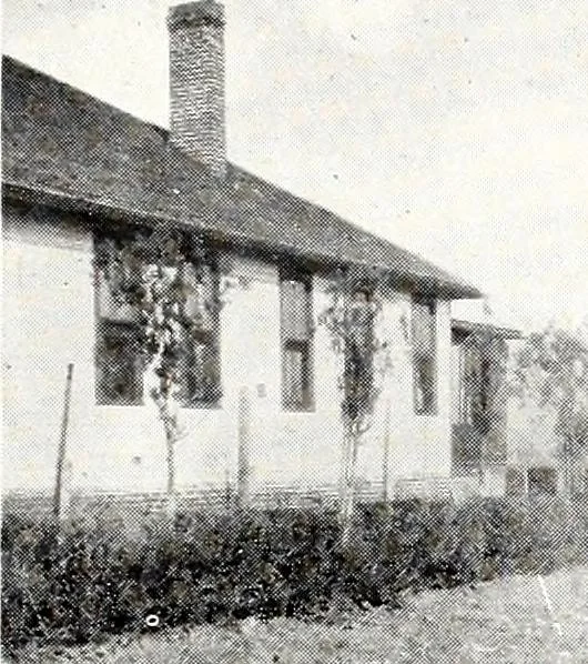 An illustration from Southern textile bulletin, 1911, leaf 162