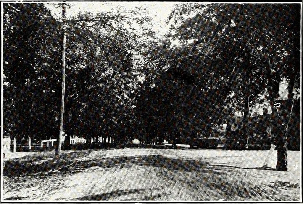 An illustration from Southern textile bulletin, 1911, leaf 175