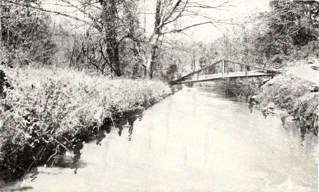 An illustration from Southern textile bulletin, 1911, leaf 180