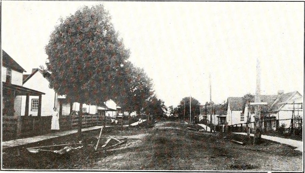 An illustration from Southern textile bulletin, 1911, leaf 183