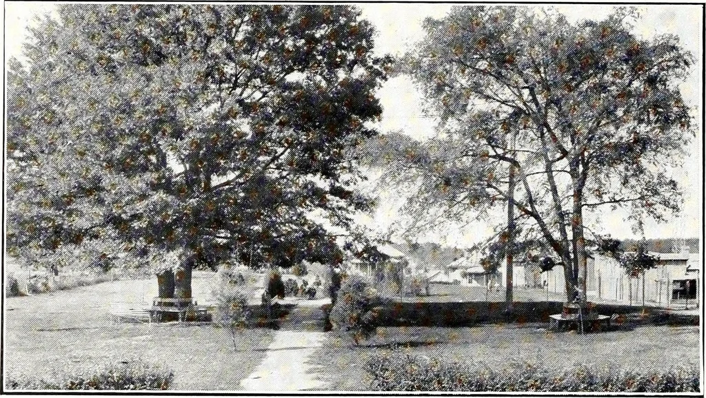 An illustration from Southern textile bulletin, 1911, leaf 191