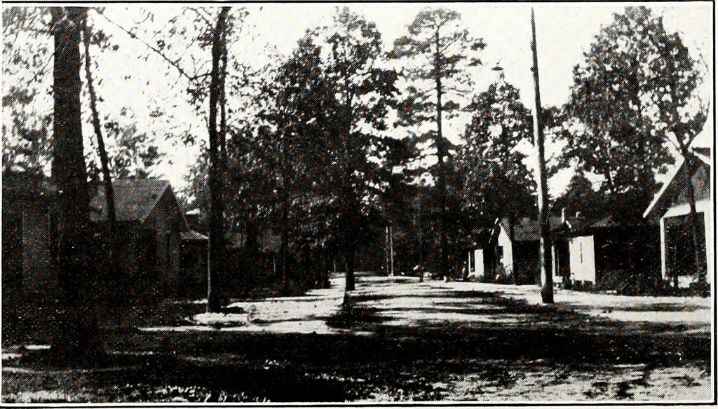 An illustration from Southern textile bulletin, 1911, leaf 195