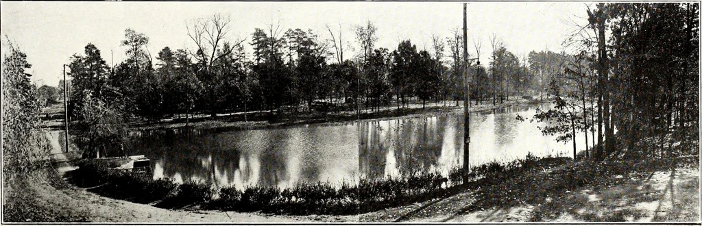 An illustration from Southern textile bulletin, 1911, leaf 206